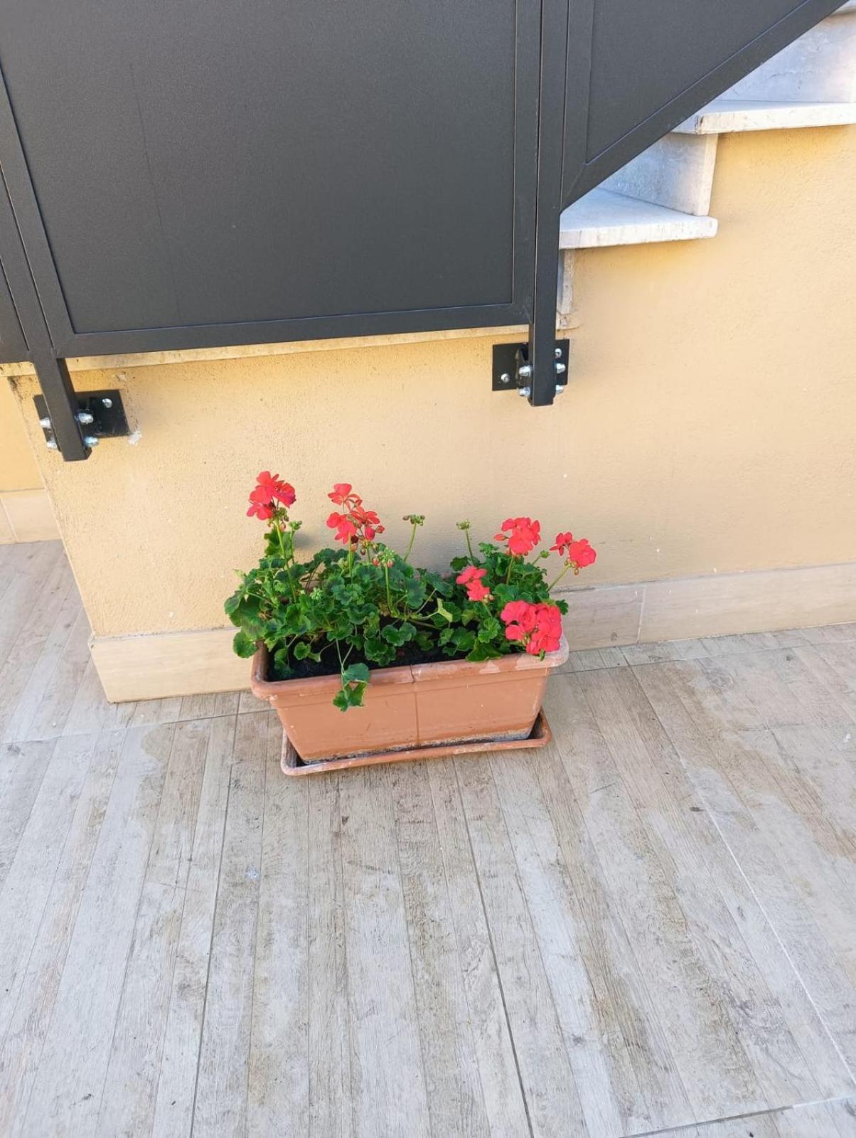 Garden House Casa vacanze *